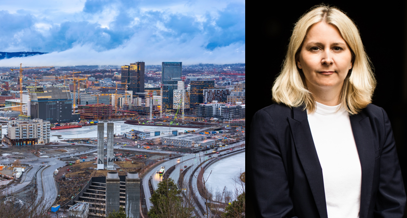 Advokat og partner Anette Eckhoff i Advokatfirmaet Ness Lundin har lang erfaring innen saker om fast eiendoms rettsforhold.